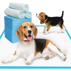 Ultra-Absorbent Puppy Training Pads