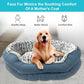 Dog Bed - Washable Rectangle Beds